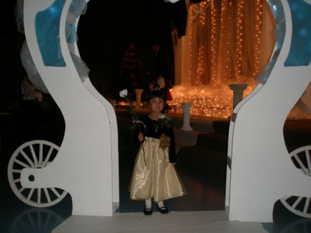 Kasen arriving at the Princess Ball
